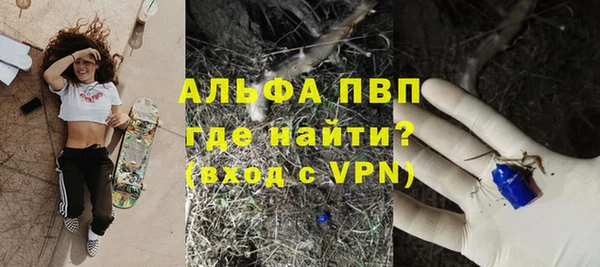 стаф Абинск