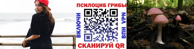 где продают наркотики Батайск Псилоцибиновые грибы ЛСД
